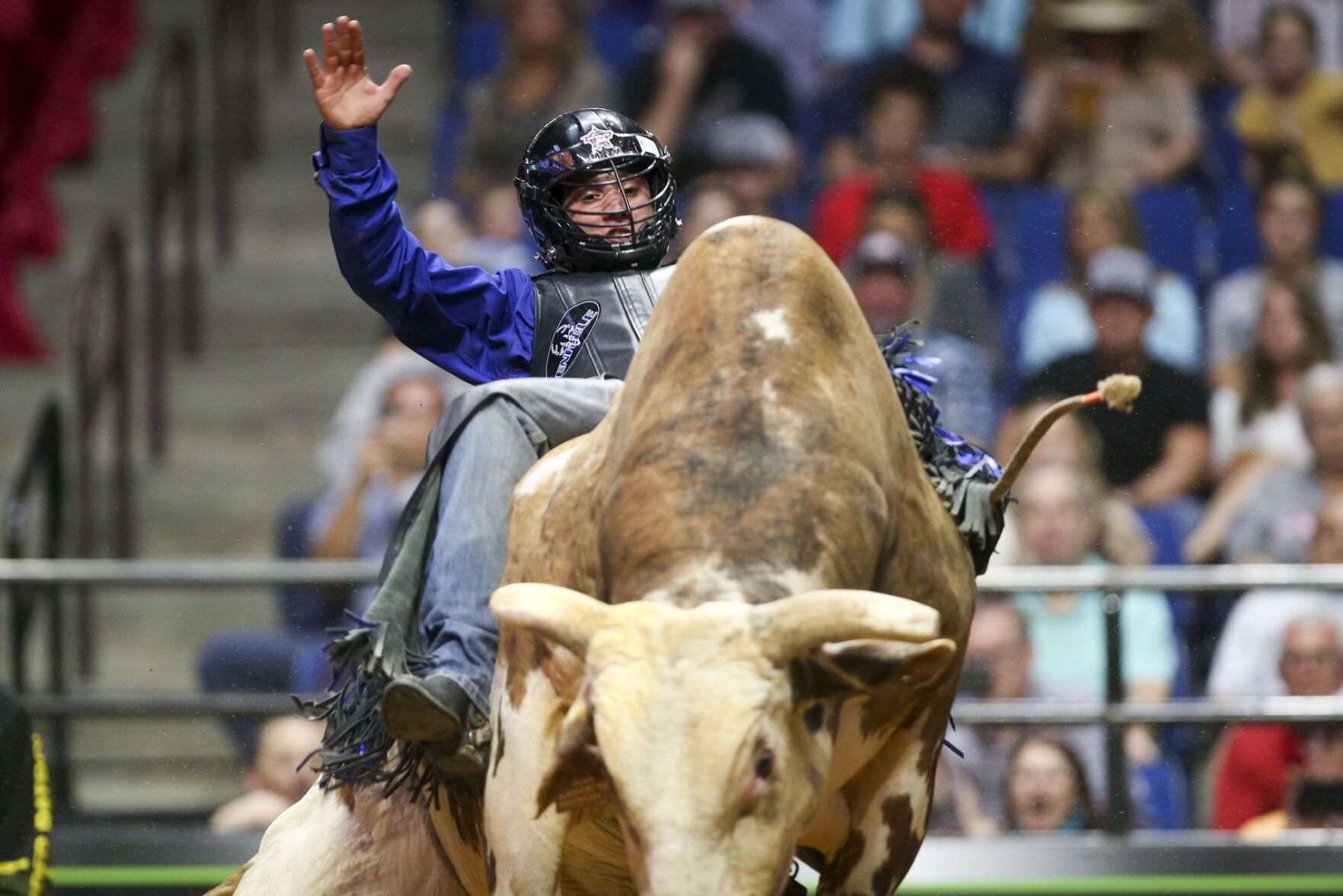 PBR Unleash The Beast